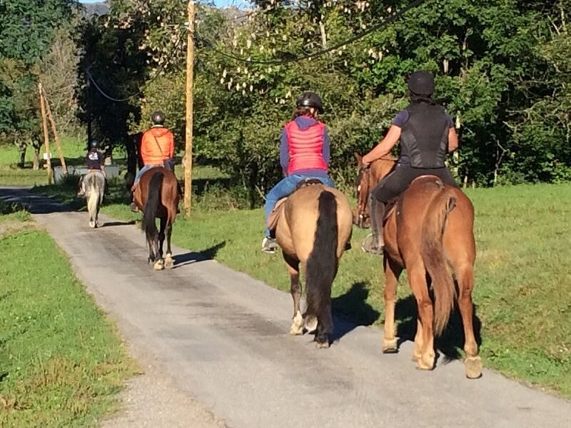 Boucle sur le coteau sud de Mieussy à Cheval