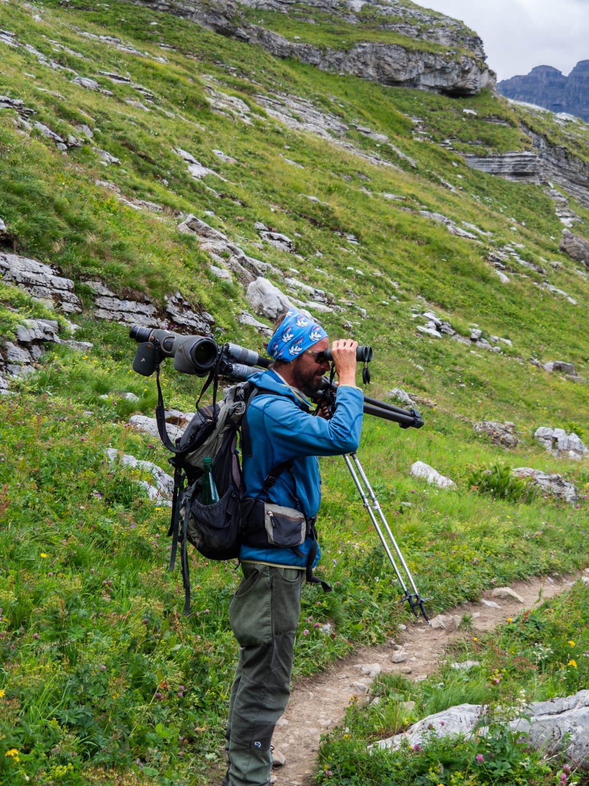 Journée pique-nique avec les marmottes