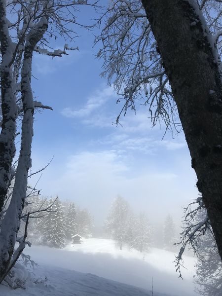 © Randonnée raquettes avec repas typique à l'alpage - Gauthier Carole