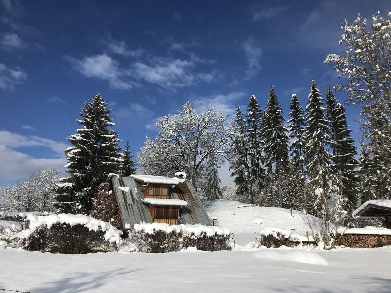 © Randonnée raquettes avec repas typique à l'alpage - Gauthier Carole