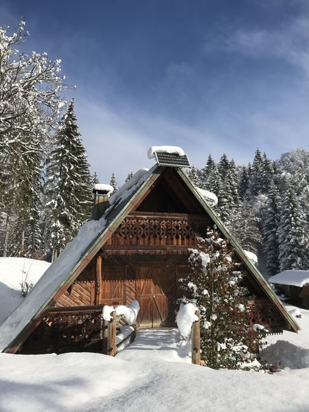 © Randonnée raquettes avec repas typique à l'alpage - Gauthier Carole