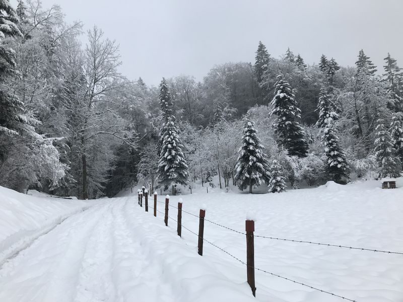 © Randonnée raquettes avec repas typique à l'alpage - Gauthier Carole