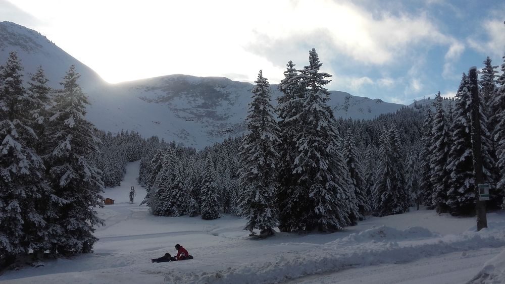 © Bain de Tourbière - Vecteur Montagne