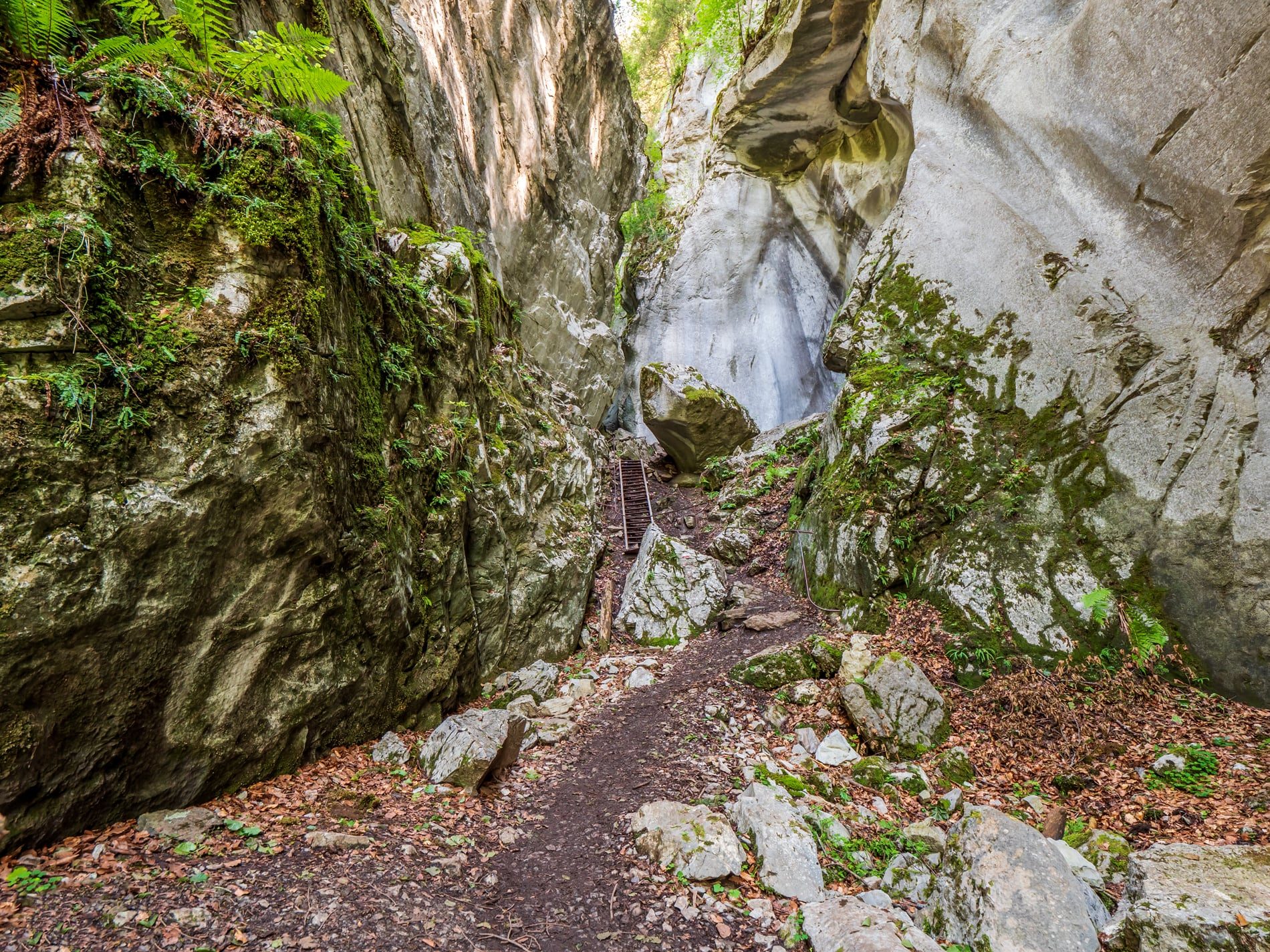 © Balade des Gorges des Tines - Gilles PIEL