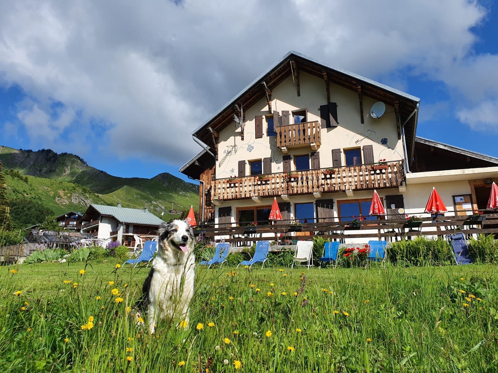 © Hôtel Le Chamois - Hôtel Le Chamois