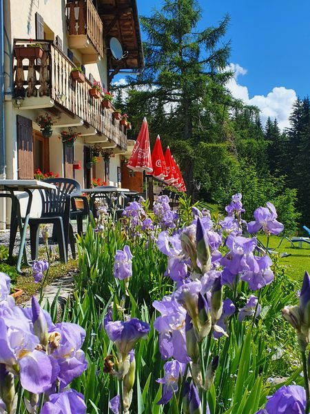 © Hôtel Le Chamois - Hôtel Le Chamois