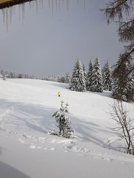 © Hôtel Le Chamois - Hôtel Le Chamois