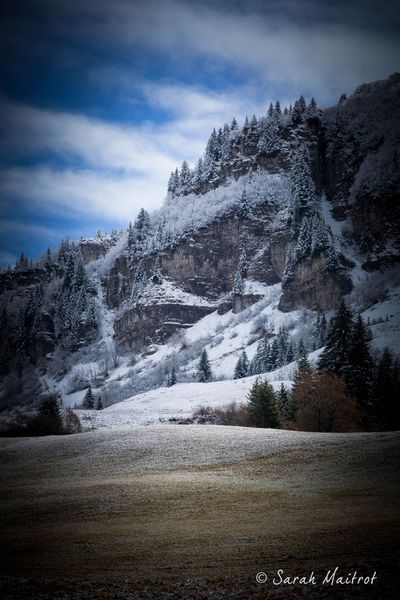 © Stage Photo - Les bases de la photographie - Sarah Maitrot