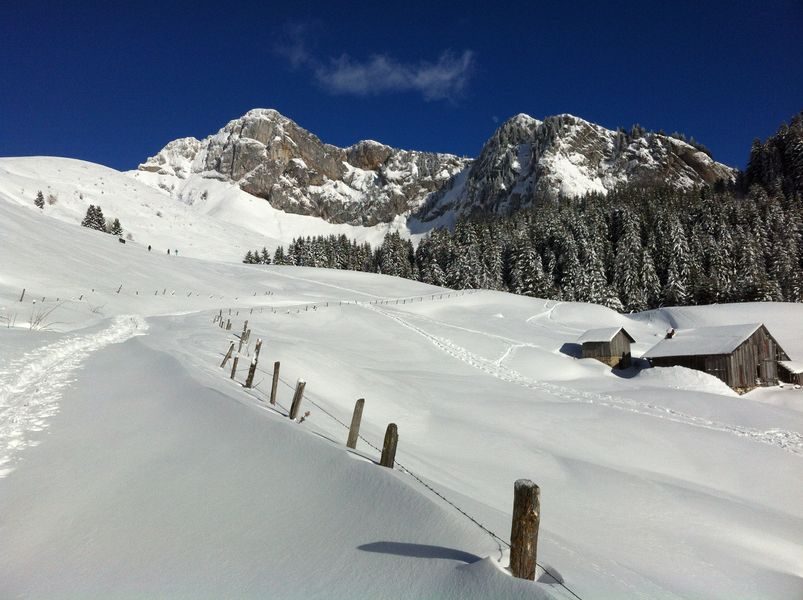 © Bien-être Nordic - Vecteur Montagne