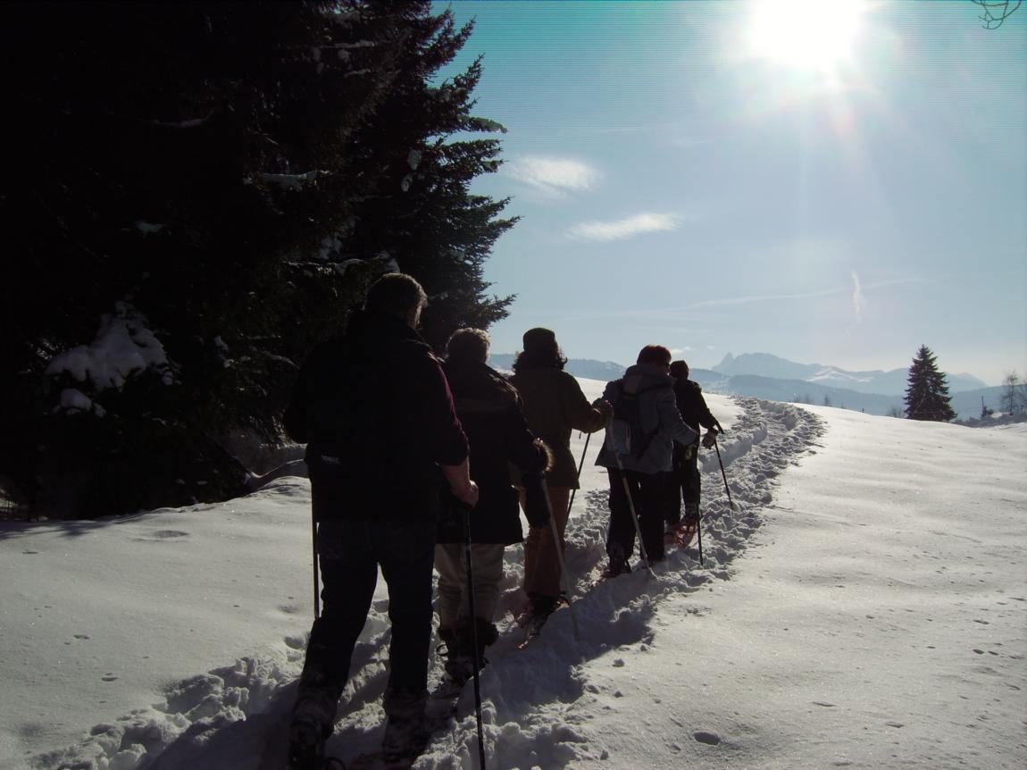 © Sortie raquettes thématique - Vecteur Montagne