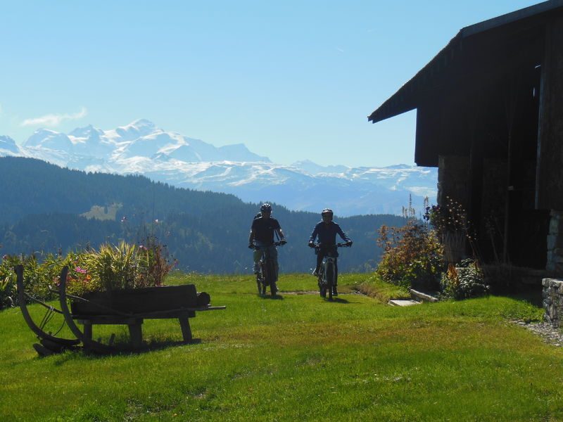 © Vélo de montagne - Vecteur Montagne