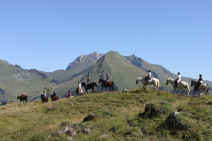 © Centre équestre La Grande Ourse - La Grande Ourse