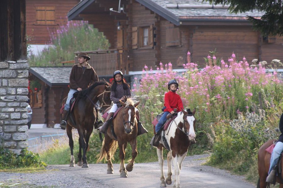 © Centre équestre La Grande Ourse - La Grande Ourse