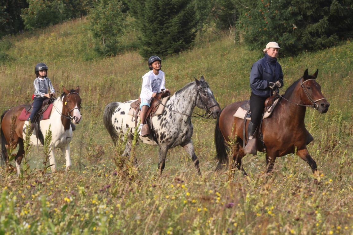 © Randonnées à cheval - La Grande Ourse