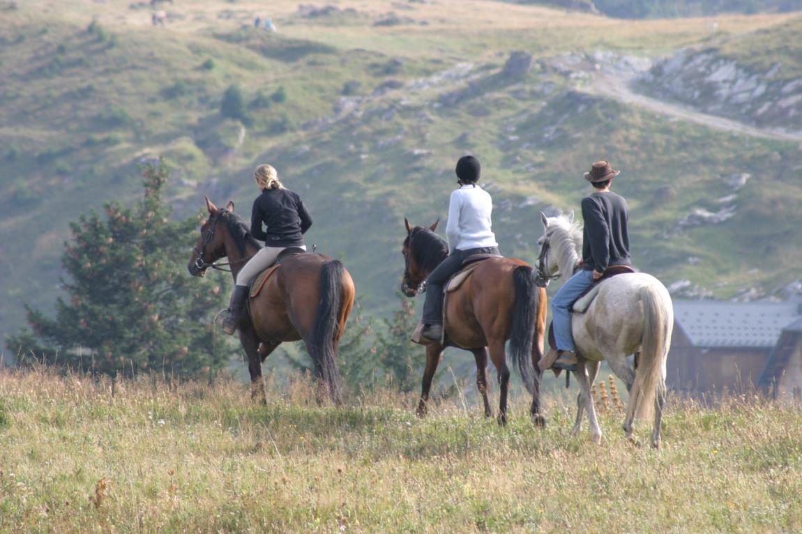 © Randonnées à cheval - La Grande Ourse