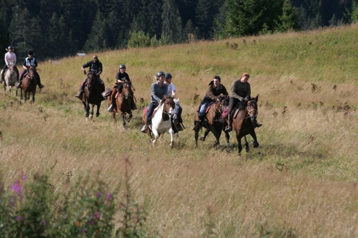 © Randonnées à cheval - La Grande Ourse