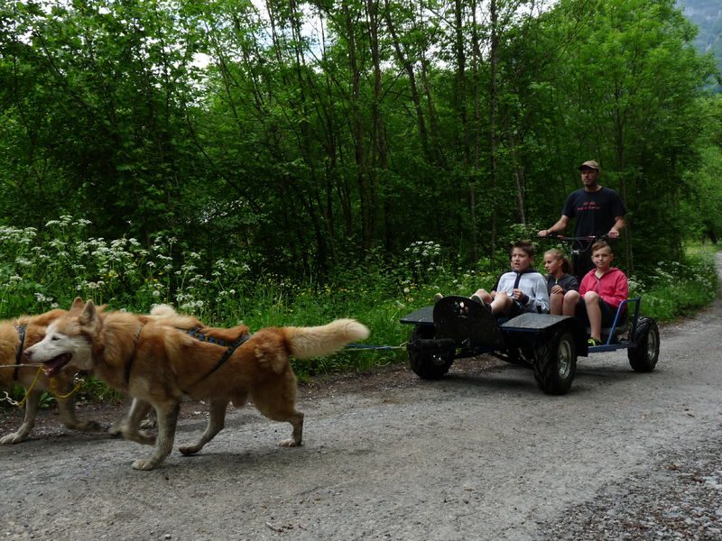 © Les Traîneaux de l'Ubac - Les Traîneaux de l'Ubac