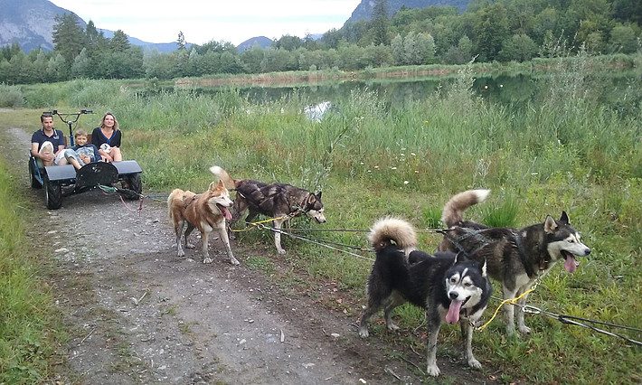 © Les Traîneaux de l'Ubac - Les Traîneaux de l'Ubac