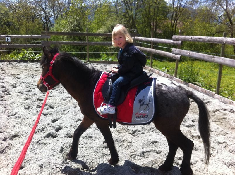 © Location de poney - Les Paddocks du Mont Blanc - Les Paddocks du Mont Blanc