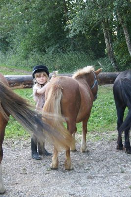 © Location de poney - Les Paddocks du Mont Blanc - Les Paddocks du Mont Blanc