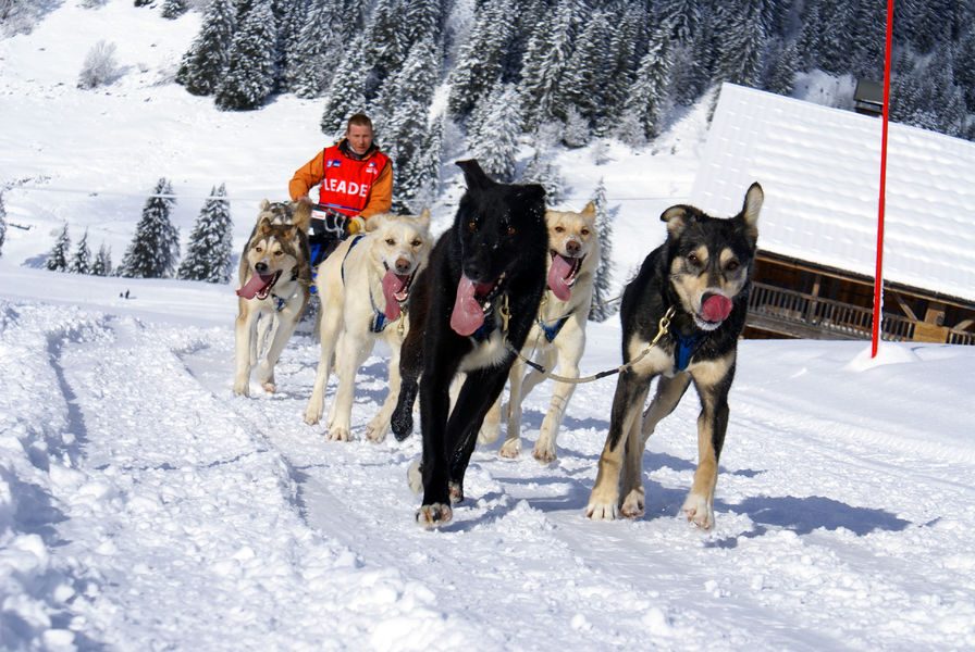 © Activités nordiques à Praz de Lys Sommand - Praz de Lys Sommand Tourisme