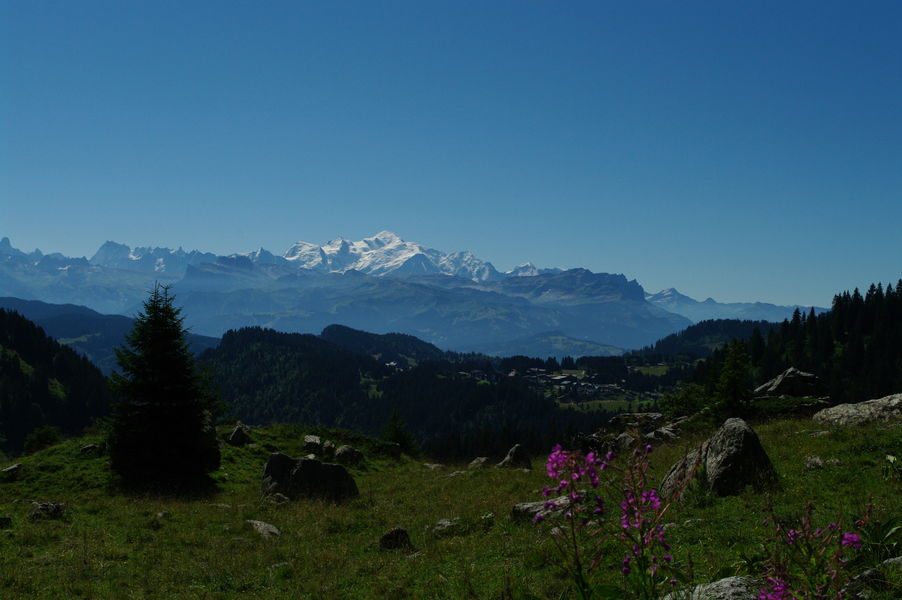 © Plaisir de vivre à Praz de Lys Sommand - Praz de Lys Sommand Tourisme