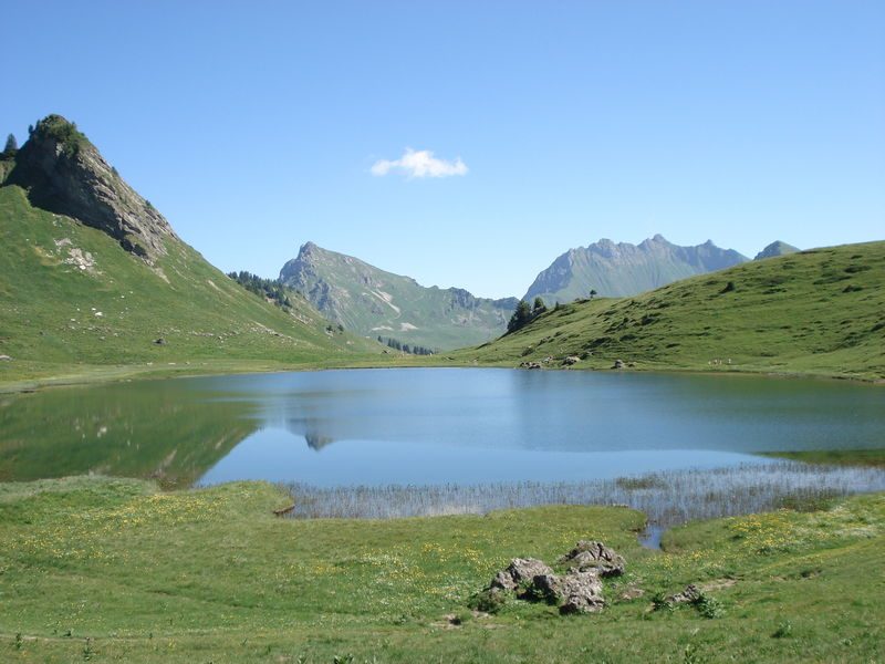 © Résidence les Soldanelles - Résidence les Soldanelles