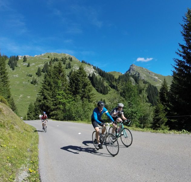 © Le Col de la Ramaz - Alt. 1619 m - Praz de Lys Sommand Tourisme