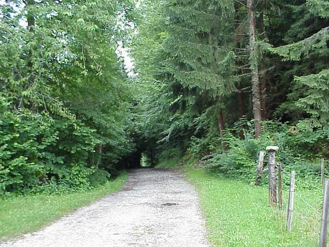 © Promenade sur le Coux - Praz de Lys Sommand Tourisme