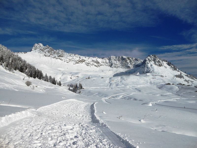 © Piste Fat Bike de Farquet - Praz de Lys Sommand Tourisme