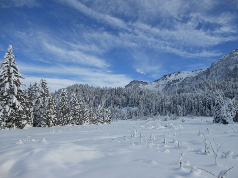 © Boucle des Sapins - Praz de Lys Sommand Tourisme