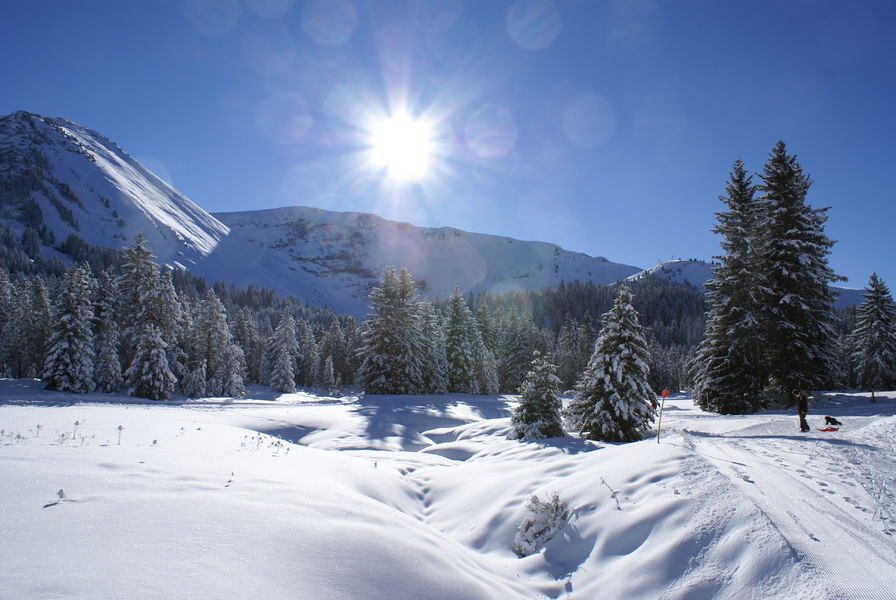 © Boucle des sapins - Praz de Lys Sommand Tourisme