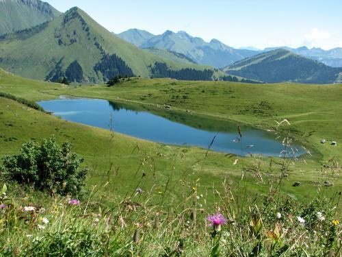 © Lac de Roy l'été - Praz de Lys Sommand Tourisme