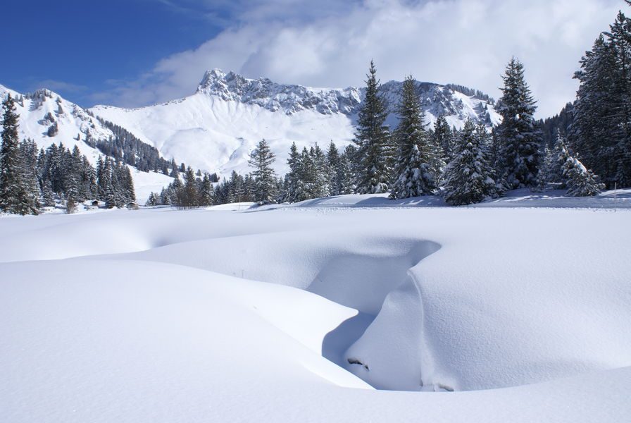 © Roche-Pallud - Praz de Lys Sommand Tourisme