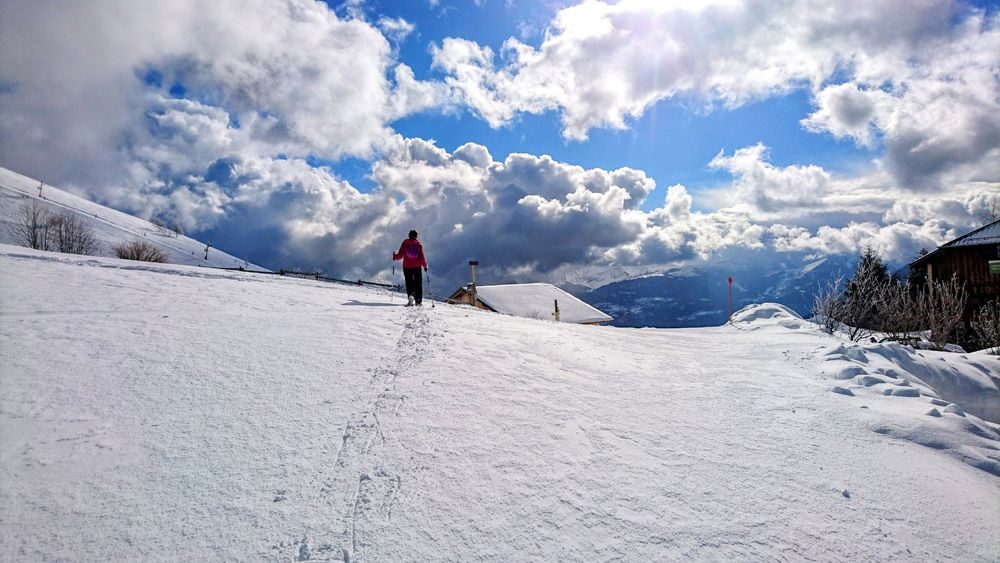 © Roche-Pallud - Praz de Lys Sommand Tourisme