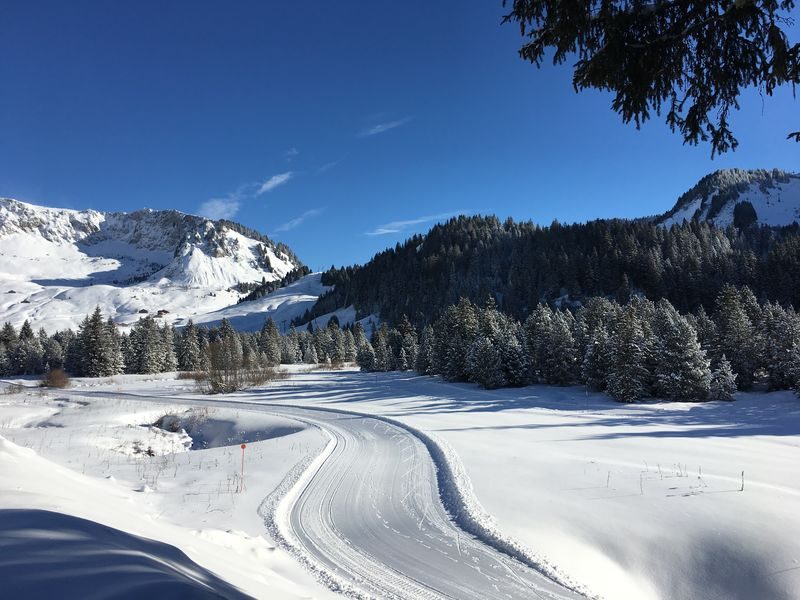 © Roche-Pallud - Praz de Lys Sommand Tourisme