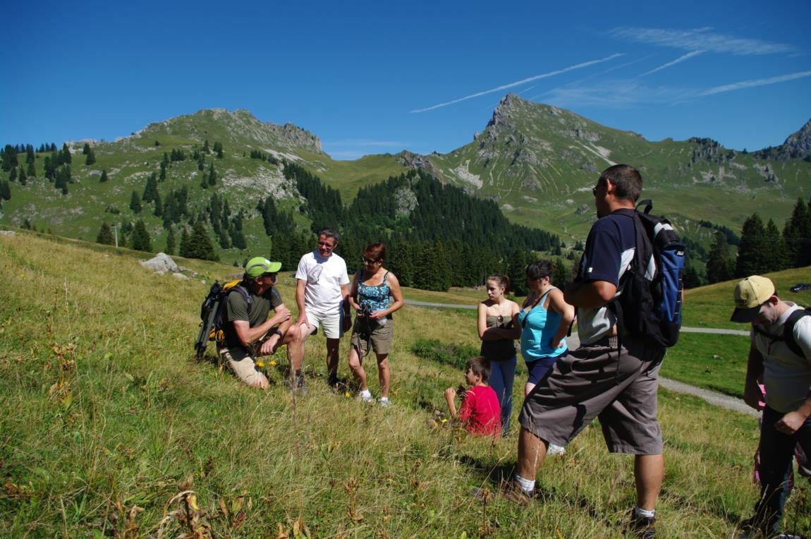 © Le col et les alpages - Praz de Lys Sommand Tourisme