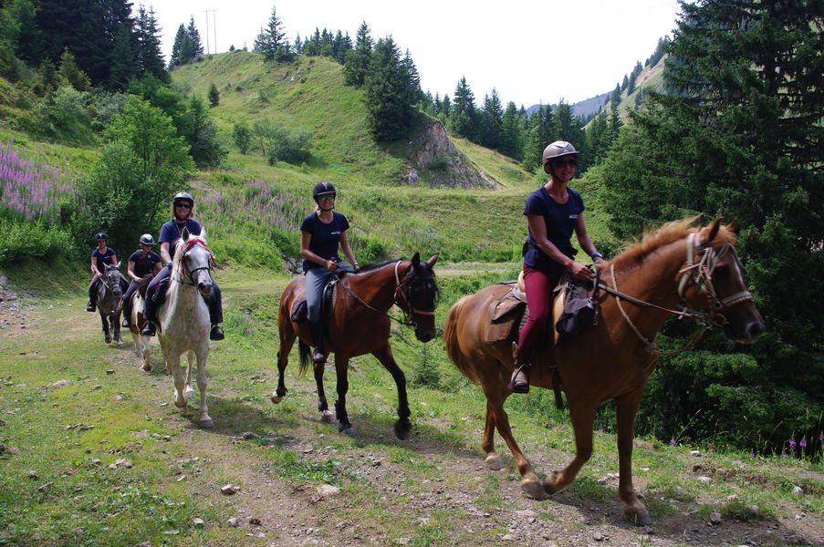 Les Paddocks du Mont-Blanc