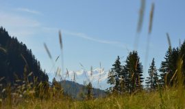 Rando'bus CHALUNE-CHAVASSE - Depuis le Praz de Lys