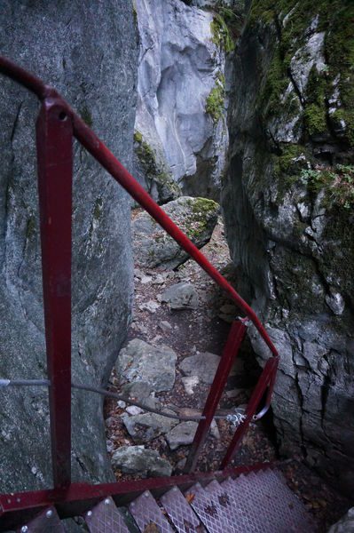 © Balade des anciennes gorges - Laurent Vriez