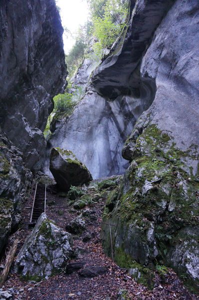 © Balade des anciennes gorges - Laurent Vriez