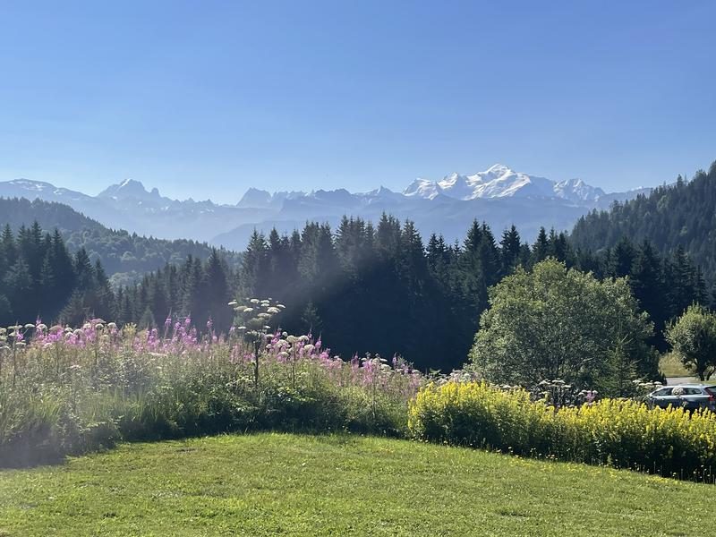 © Chalet Le Marmouset - 40 m² - 508_Taninges - Nicolas Buchy