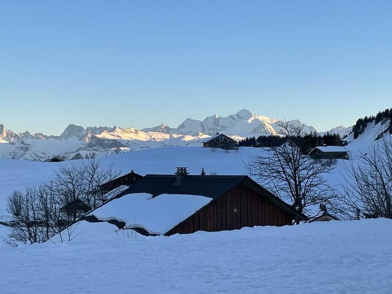 © Chalet Gentiane - 110 m² - n°814_Taninges - François Ducrot