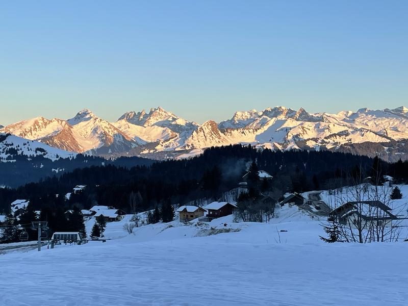 © Chalet Gentiane - 110 m² - n°814_Taninges - François Ducrot