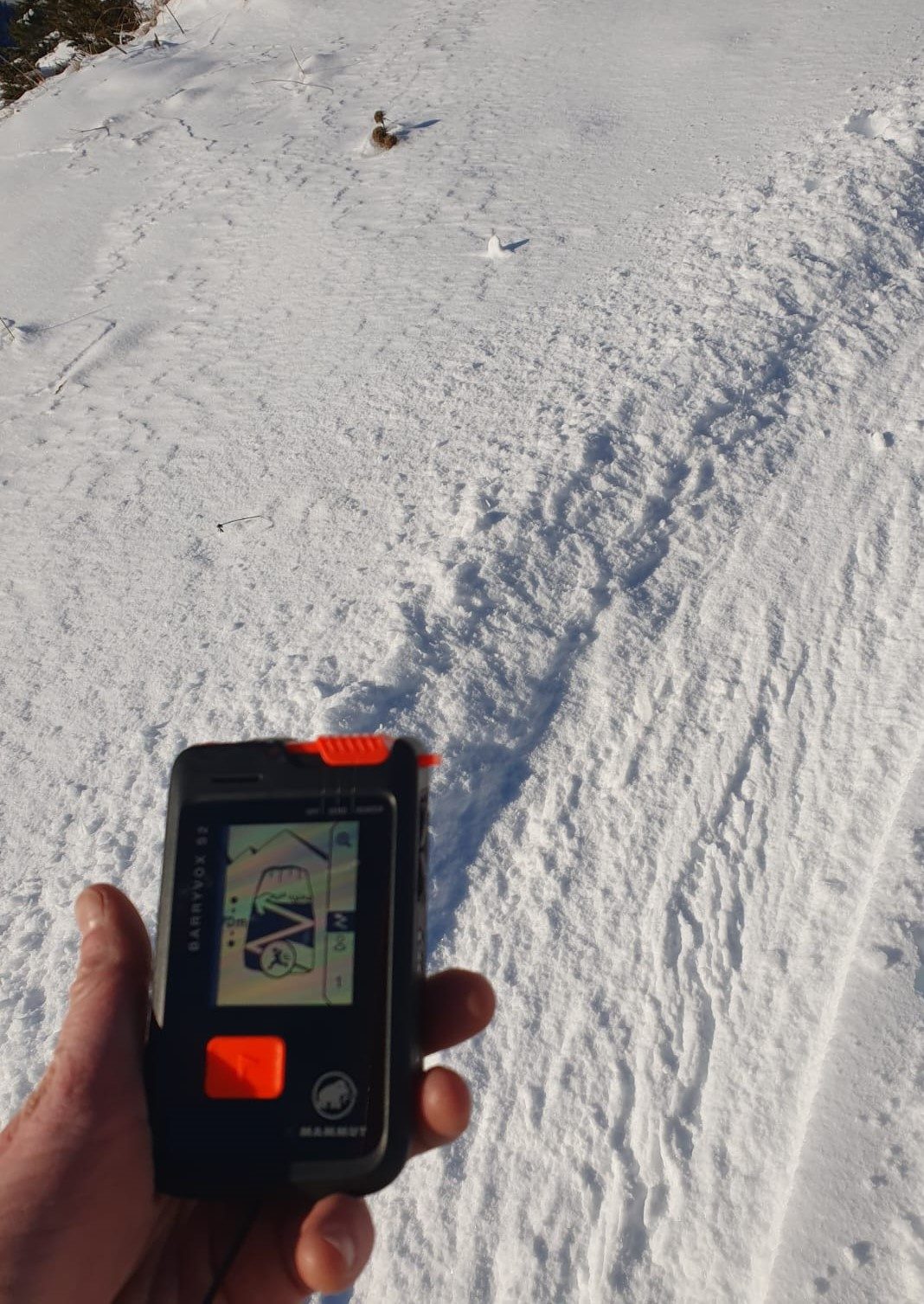 © Formation gestion du risque d’avalanche en raquettes à neige et recherche DVA. Niveau 1_Samoëns - Pauline Pretet