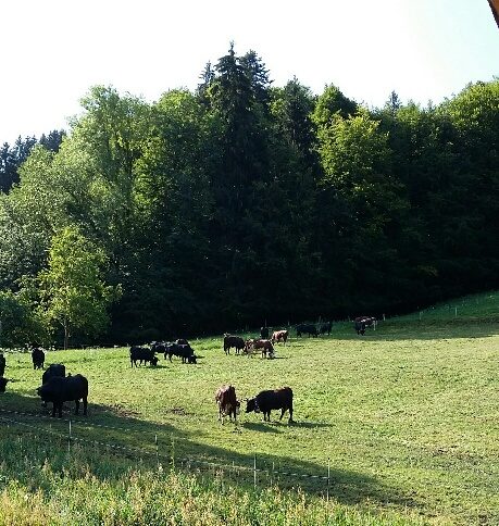 © GAEC des Croës Canailles - La Ferme des Croës Canailles