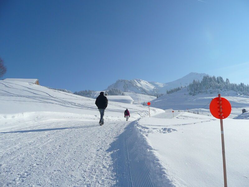 Le Col de la Ramaz depuis Sommand