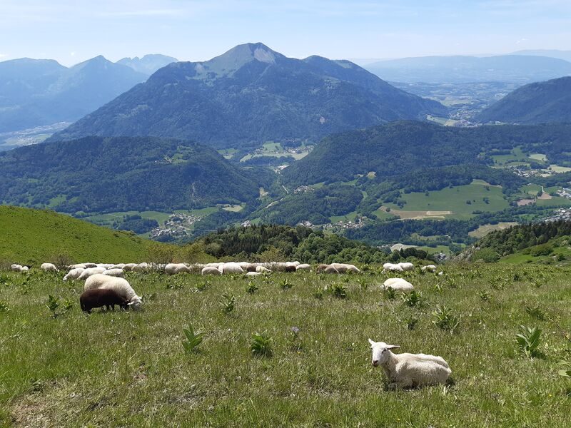 Vue sur le Môle