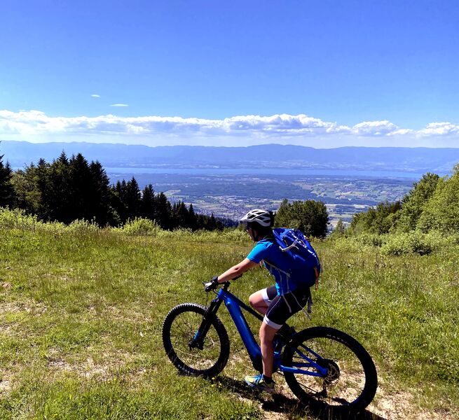 © Carte Postale du Léman au Mont-Blanc - Vecteur Montagne