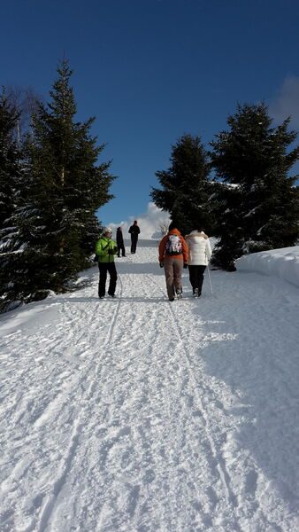 Le Col de la Ramaz depuis le Praz de Lys